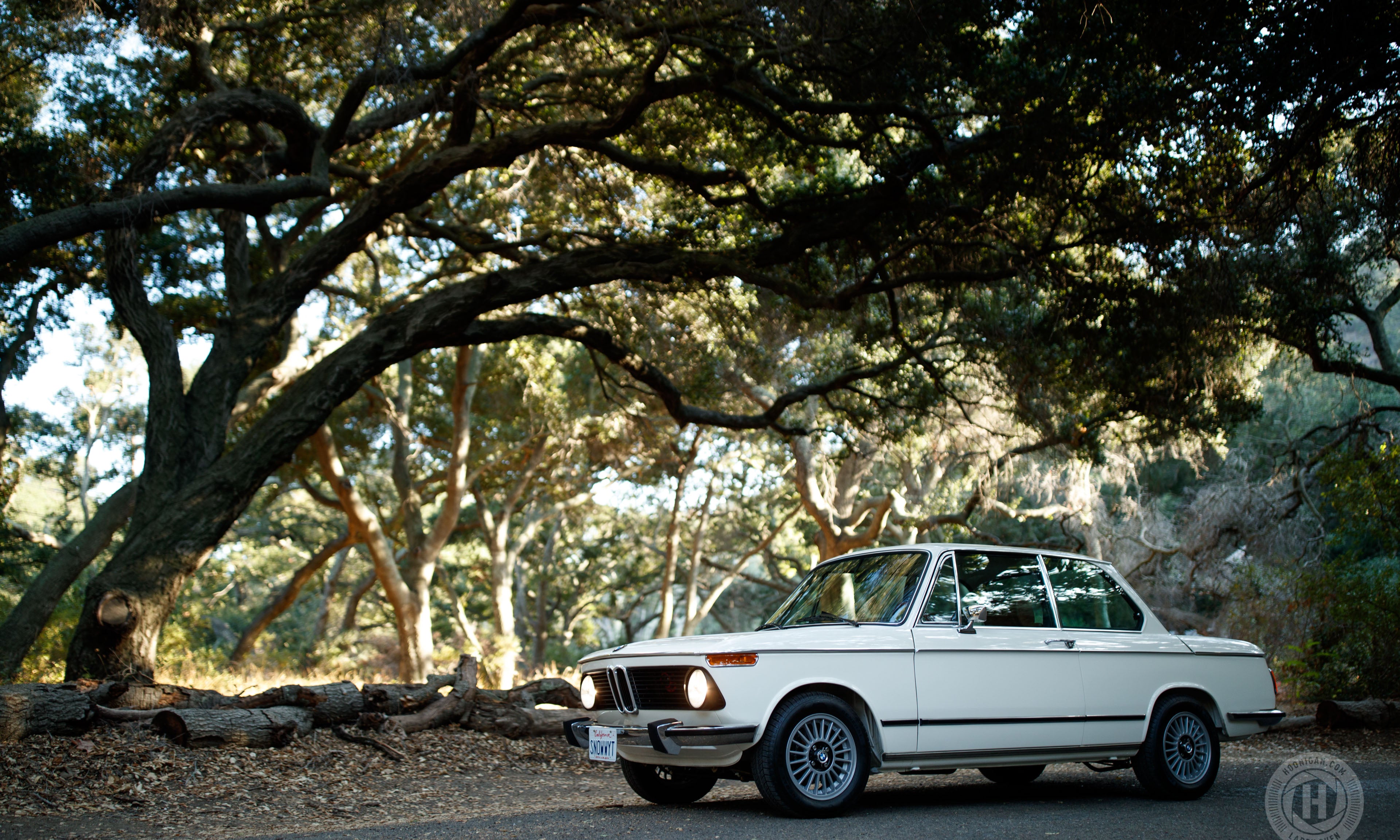 Timeless Enjoyment: The Properly Done BMW 2002