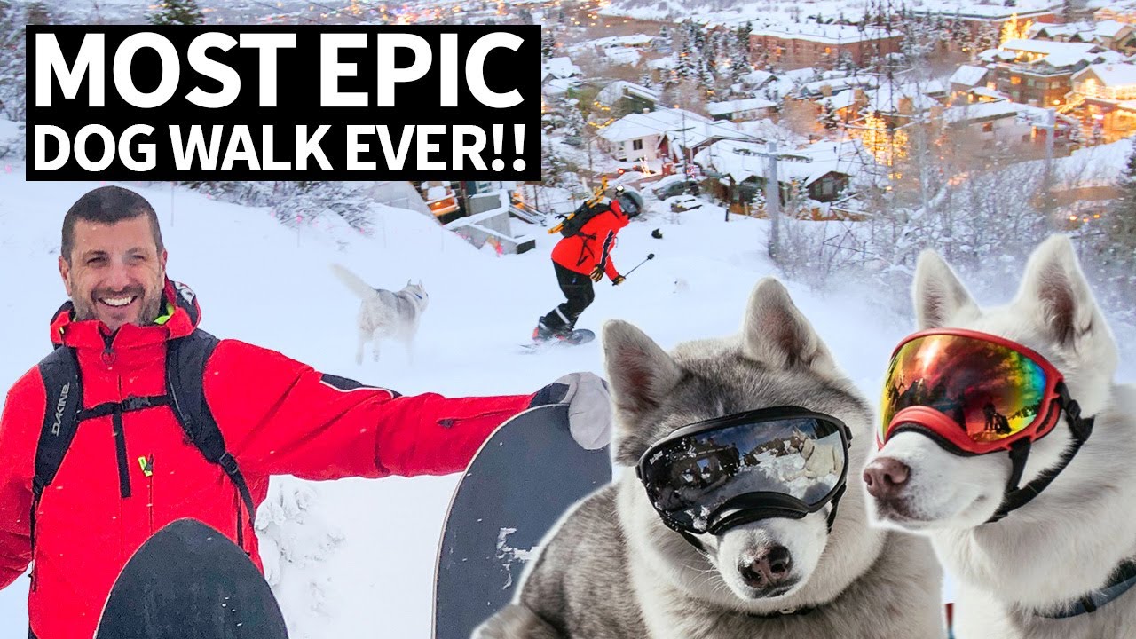 Best Dog Walk Ever! Ken Block’s Epic Mountain Hike to Snowboard With His Dogs