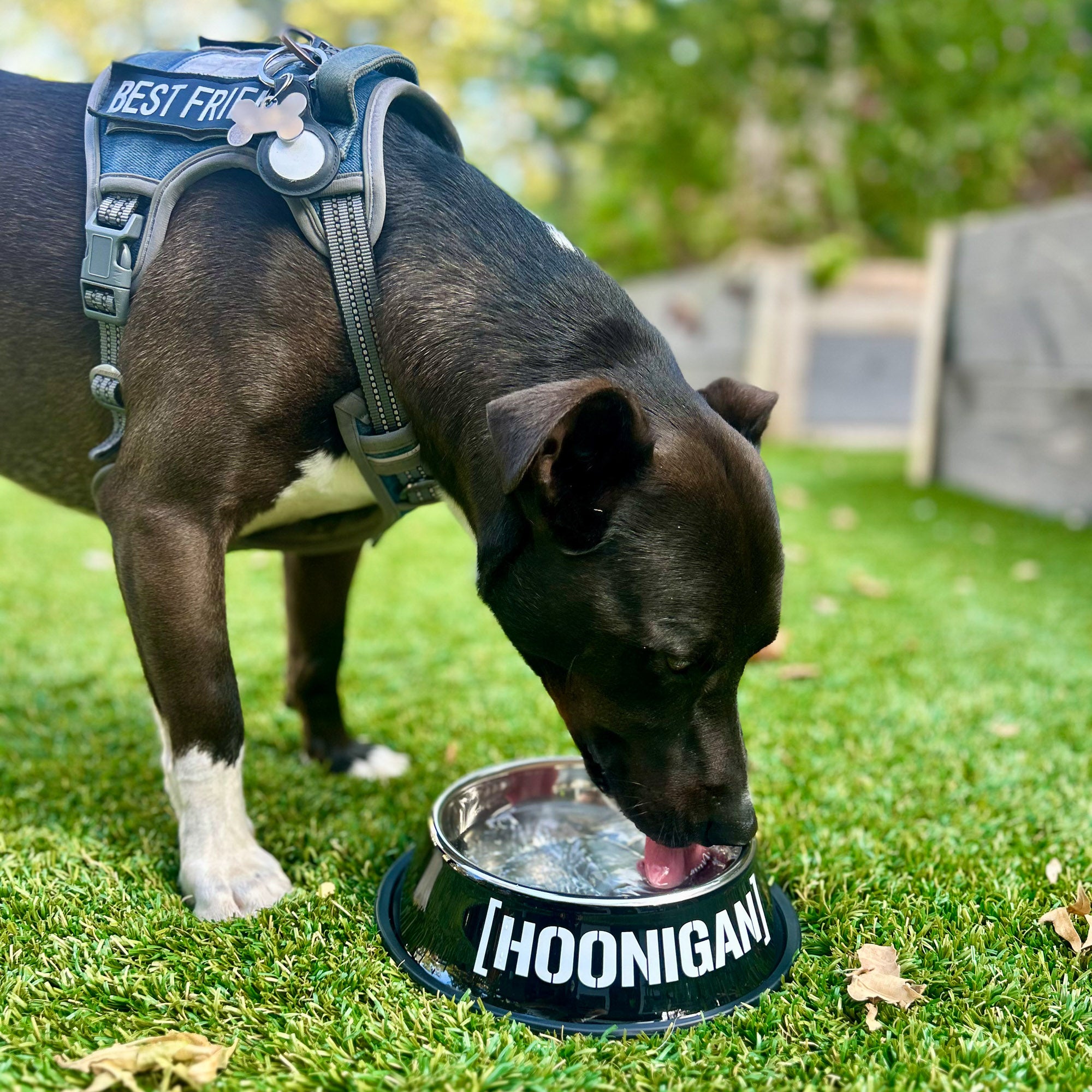Hoonigan CENSOR BAR BRACKET LOGO Metal Dog Bowl