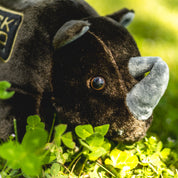 Black Rhino plush toy with soft, textured fur and realistic features, including large ears and a prominent horn, set against a light background.