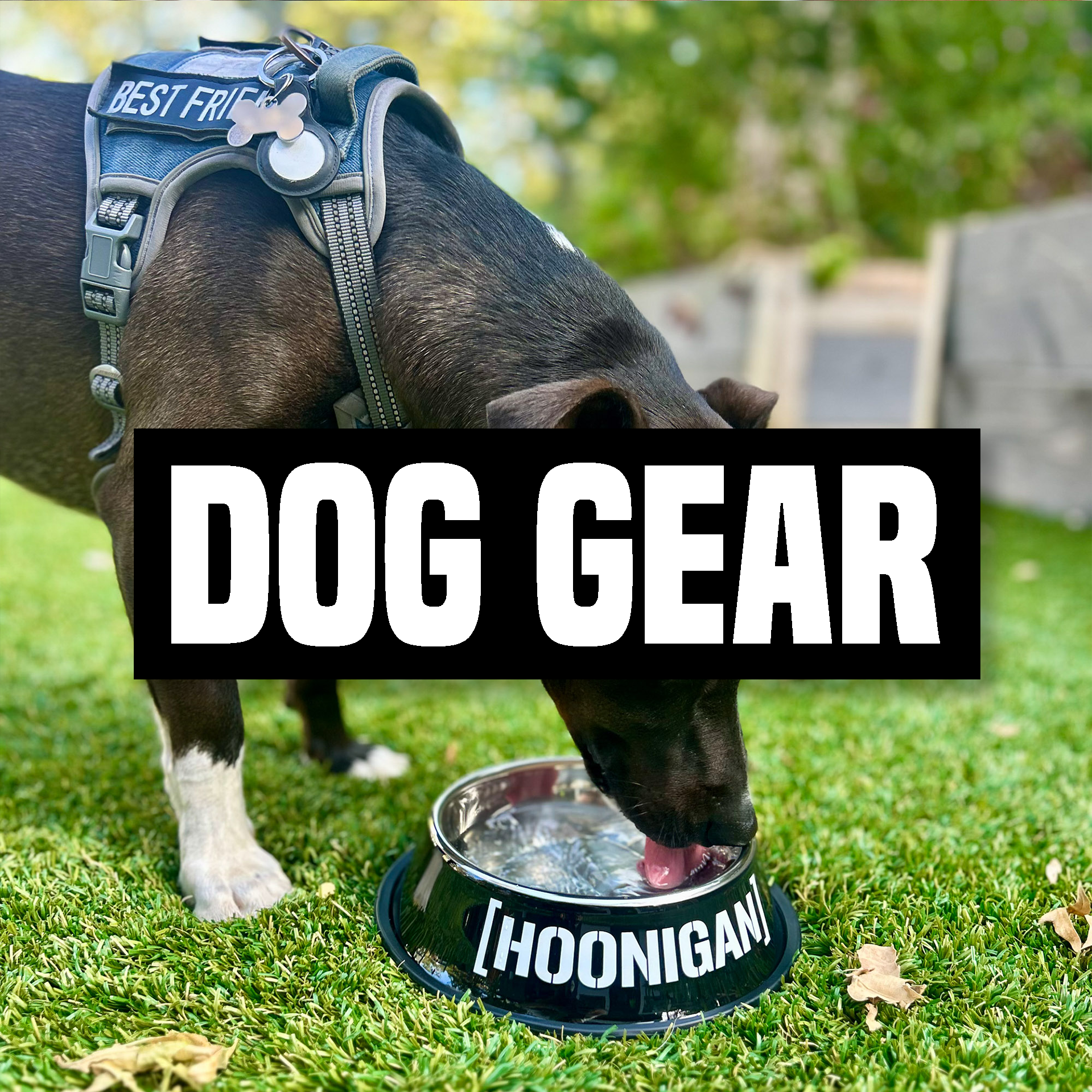 New_Dog_Menu_Button_2e90c329-23e0-4393-99a2-196b97d76243.png