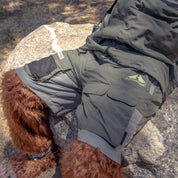 Rain-activated Hoonigan H.A.V.O.C. cargo shorts on a dog, featuring multiple pockets, adjustable fit, and durable fabric.