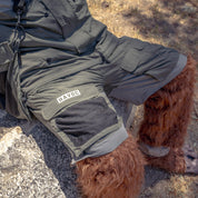 Rain-activated Hoonigan H.A.V.O.C. cargo shorts with multiple pockets, worn outdoors on a dog.
