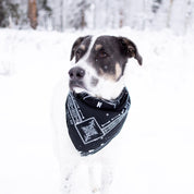 A dog wearing a black Hoonigan BONES bandana stands in a snowy landscape, showcasing its stylish design.