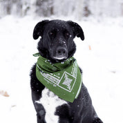 Hoonigan BONES Bandana displayed on a dog, featuring a green design with intricate white patterns, set in a snowy landscape.