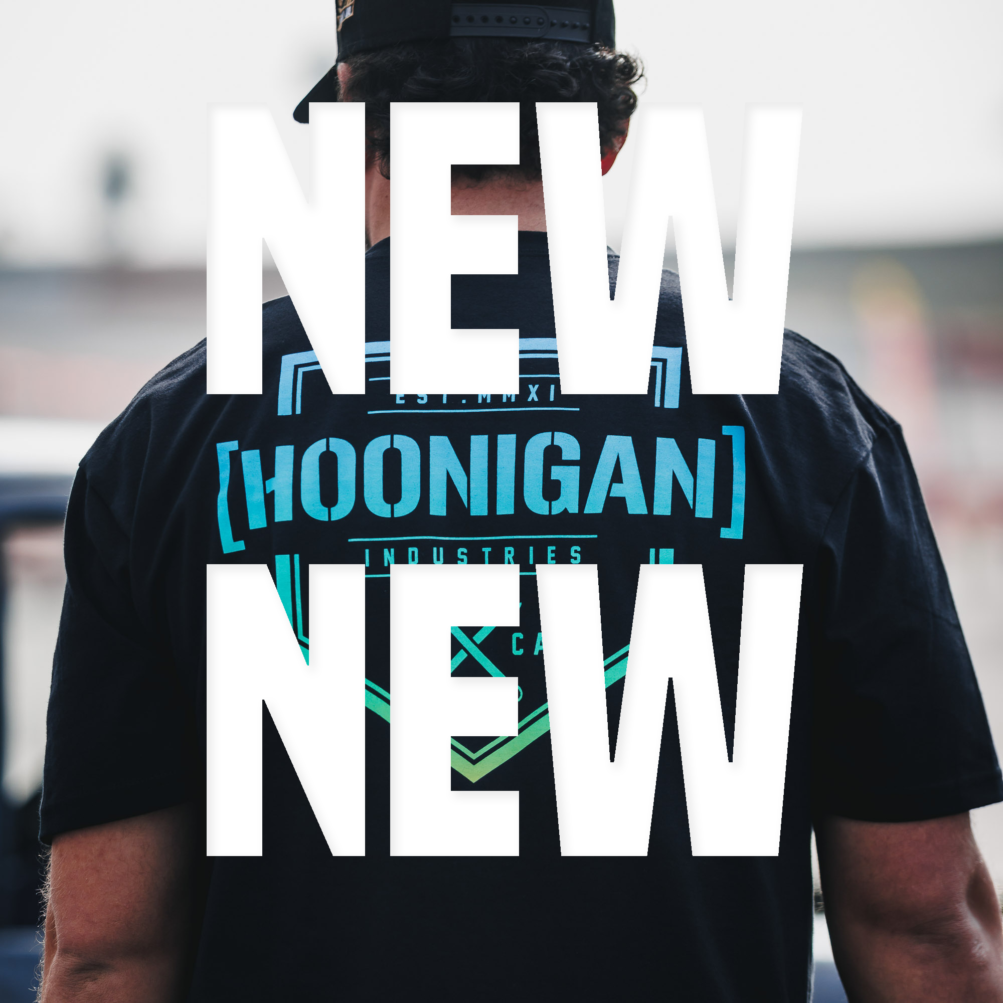 hoonigandotcom-378_copy.png